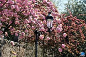 Printemps 2021 - 292