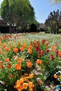 Printemps 2021 - 293