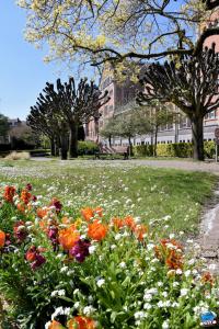 Printemps 2021 - 294