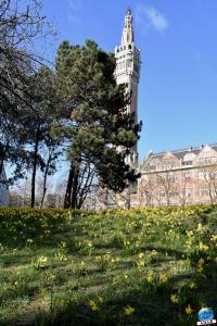 Printemps 2021 - 30