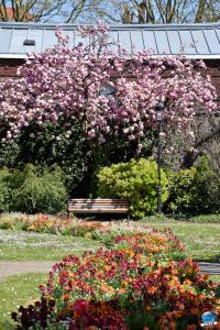 Printemps 2021 - 299