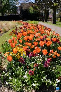 Printemps 2021 - 301