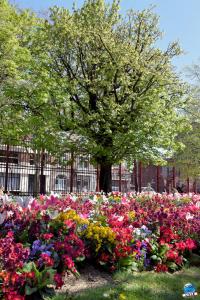 Printemps 2021 - 303