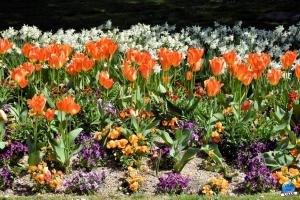 Printemps 2021 - 304