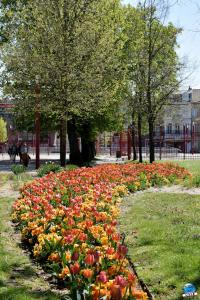 Printemps 2021 - 307