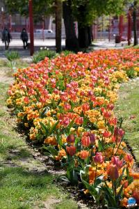 Printemps 2021 - 308