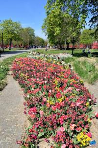 Printemps 2021 - 310