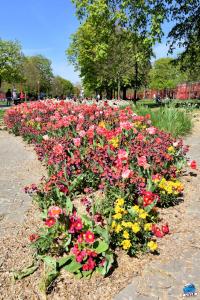 Printemps 2021 - 311