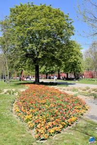 Printemps 2021 - 312