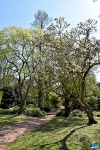 Printemps 2021 - 314
