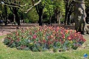 Printemps 2021 - 315