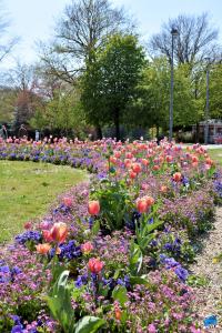 Printemps 2021 - 321