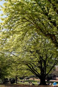 Printemps 2021 - 322