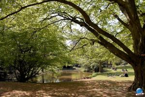 Printemps 2021 - 327