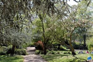 Printemps 2021 - 328