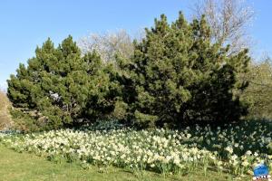 Printemps 2021 - 33