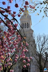 Printemps 2021 - 330