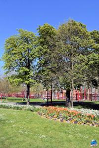 Printemps 2021 - 333