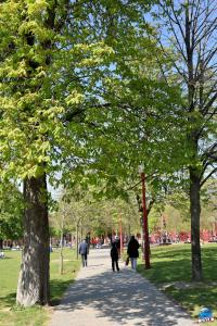 Printemps 2021 - 334