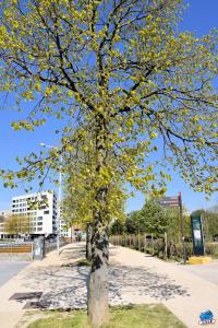 Printemps 2021 - 335