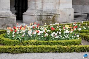 Printemps 2021 - 337