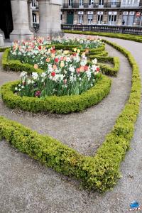 Printemps 2021 - 338