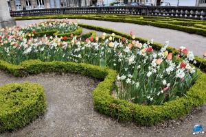 Printemps 2021 - 339