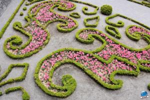Printemps 2021 - 342
