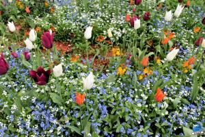 Printemps 2021 - 343
