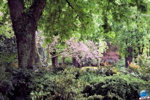Printemps 2021 - 344