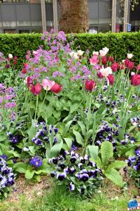 Printemps 2021 - 346