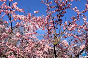 Printemps 2021 - 35