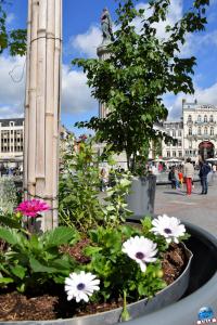 Printemps 2021 - 349