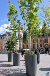 Printemps 2021 - 351