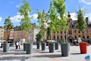 Printemps 2021 - 353