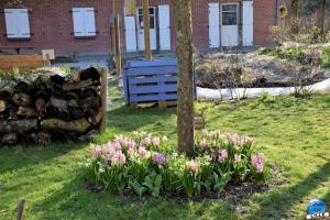 Printemps 2021 - 39
