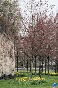 Printemps 2021 - 42