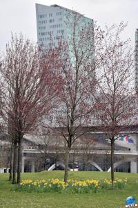 Printemps 2021 - 44