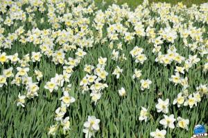 Printemps 2021 - 45