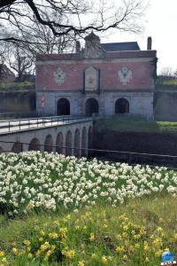 Printemps 2021 - 47