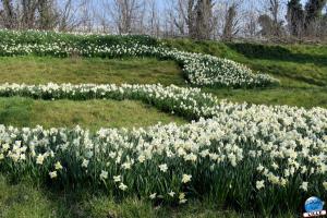 Printemps 2021 - 48