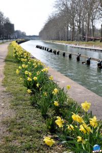 Printemps 2021 - 51