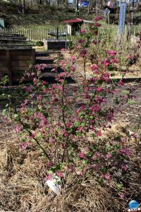 Printemps 2021 - 61