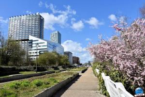 Printemps 2021 - 62