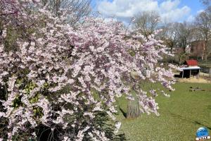 Printemps 2021 - 63