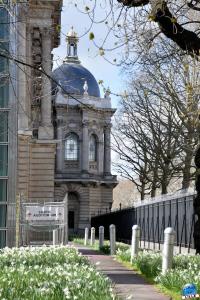 Printemps 2021 - 66