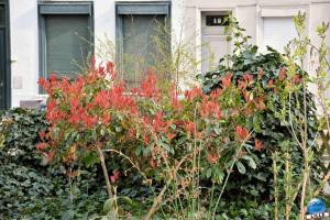 Printemps 2021 - 71