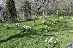 Printemps 2021 - 73