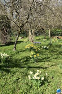 Printemps 2021 - 74