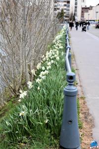 Printemps 2021 - 82